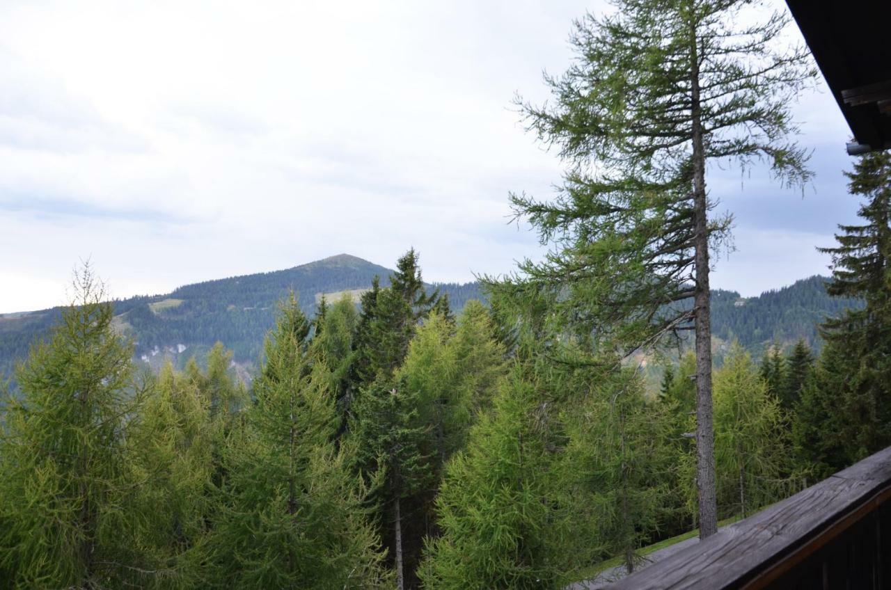 Ferienhaus Bergfee Klippitztorl Bagian luar foto