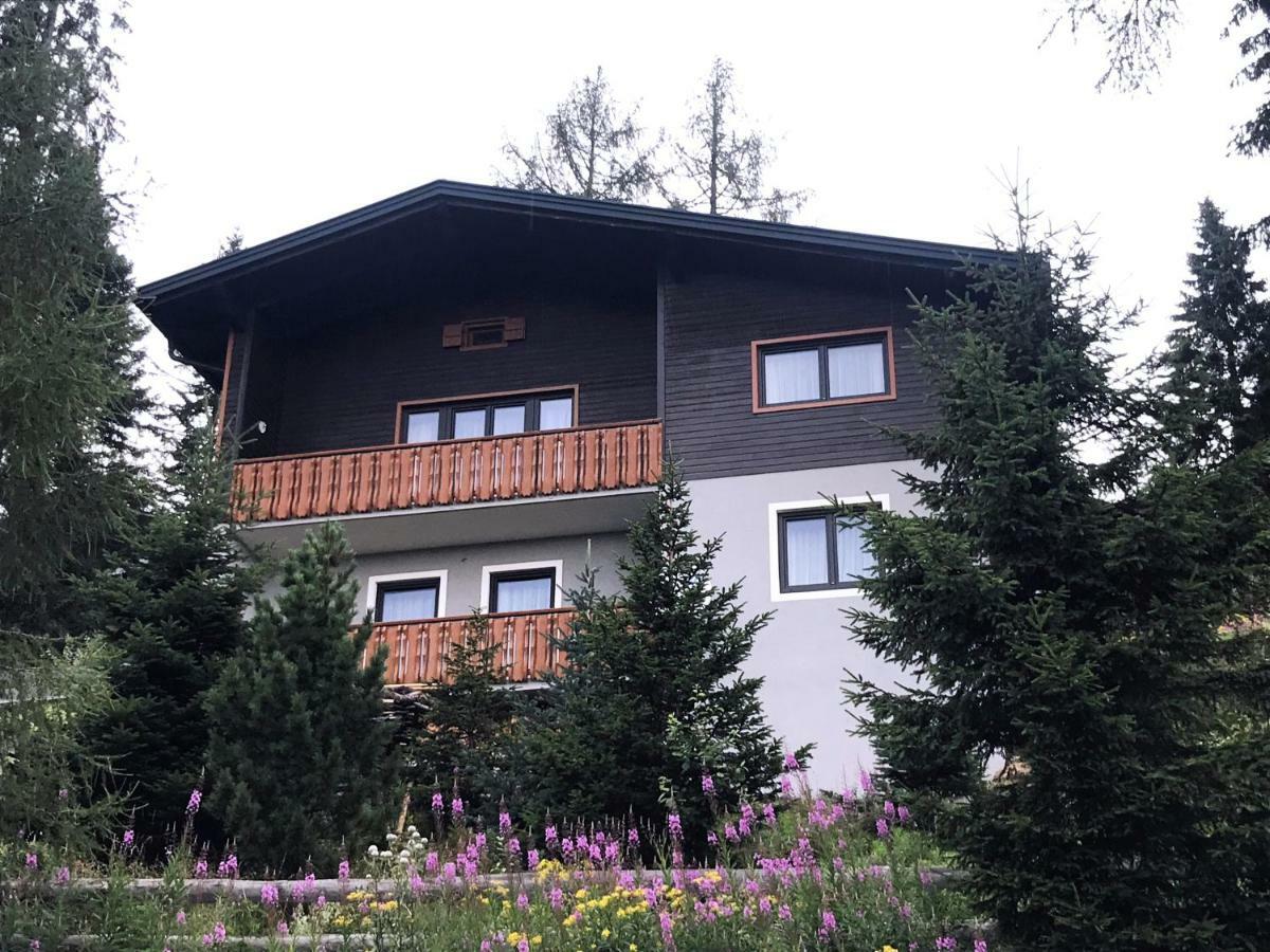 Ferienhaus Bergfee Klippitztorl Bagian luar foto