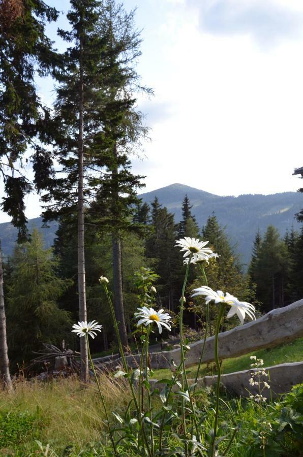 Ferienhaus Bergfee Klippitztorl Bagian luar foto