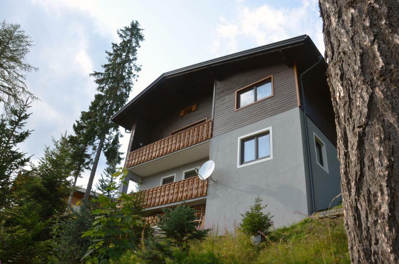 Ferienhaus Bergfee Klippitztorl Bagian luar foto