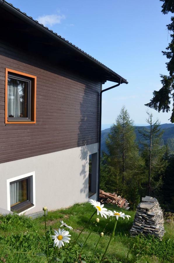 Ferienhaus Bergfee Klippitztorl Bagian luar foto